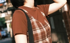 十二只猴子百度影音